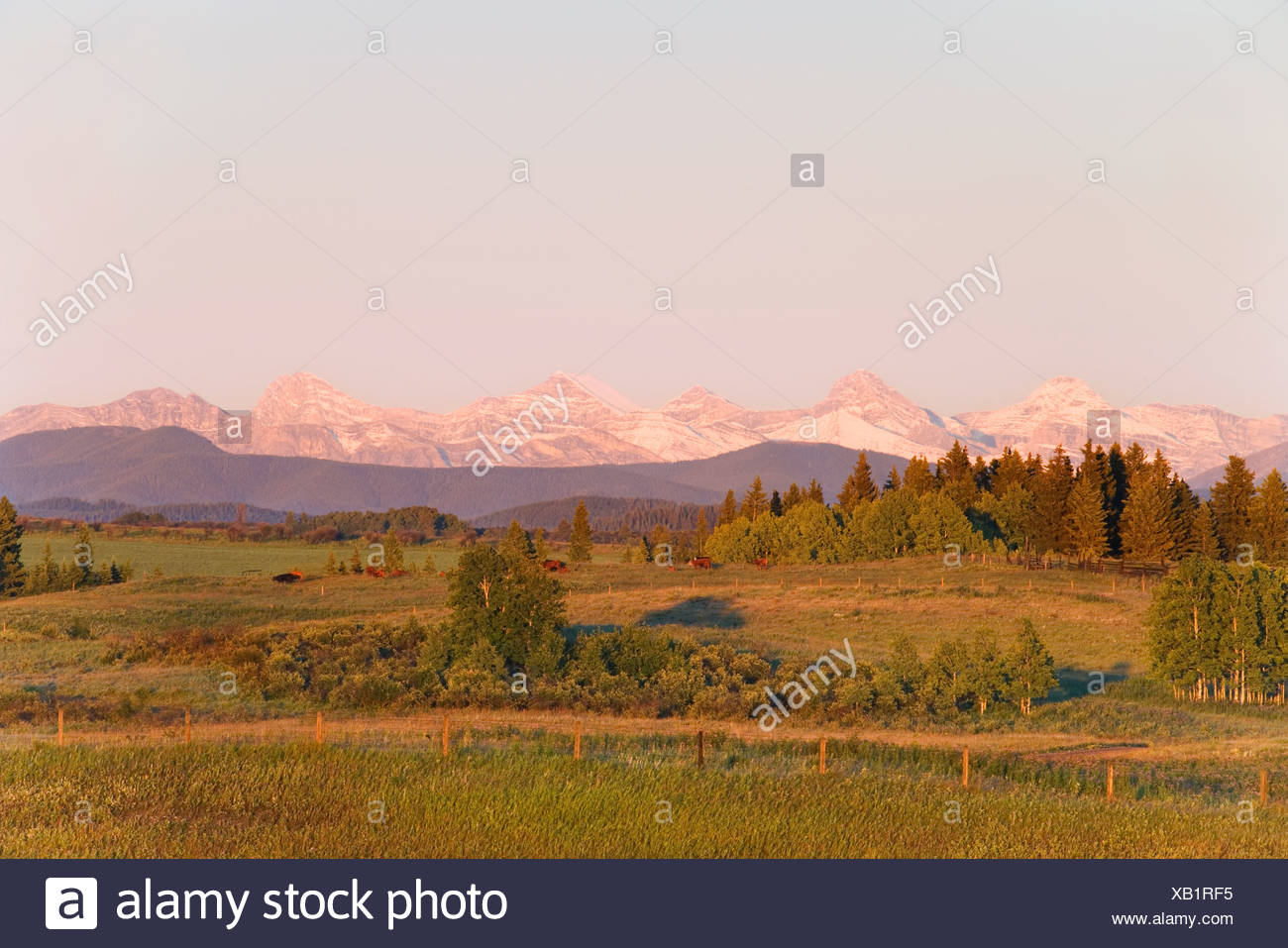 Landscape Alberta Foothills Stock Photos & Landscape Alberta Foothills