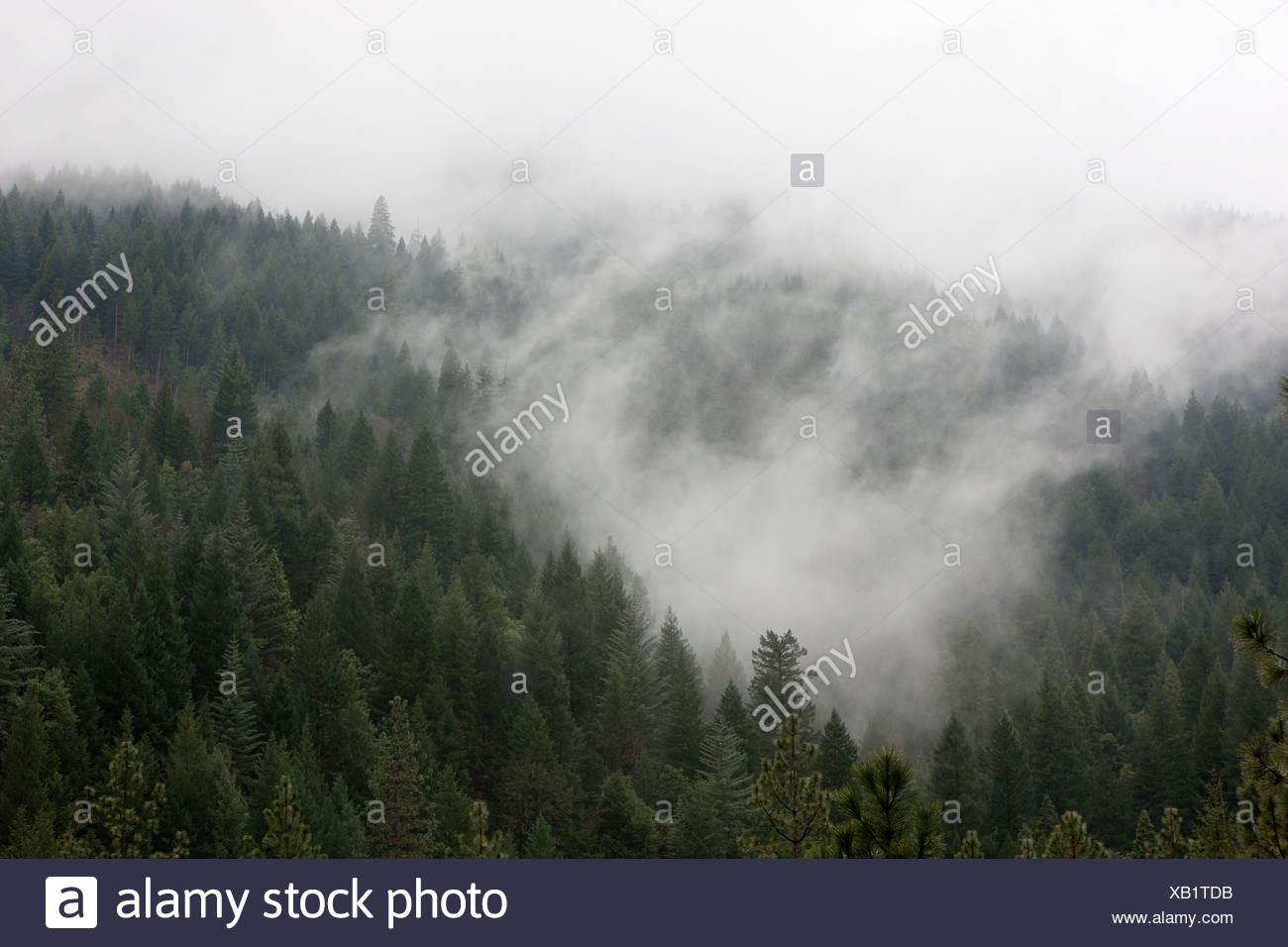Dunsmuir High Resolution Stock Photography and Images Alamy