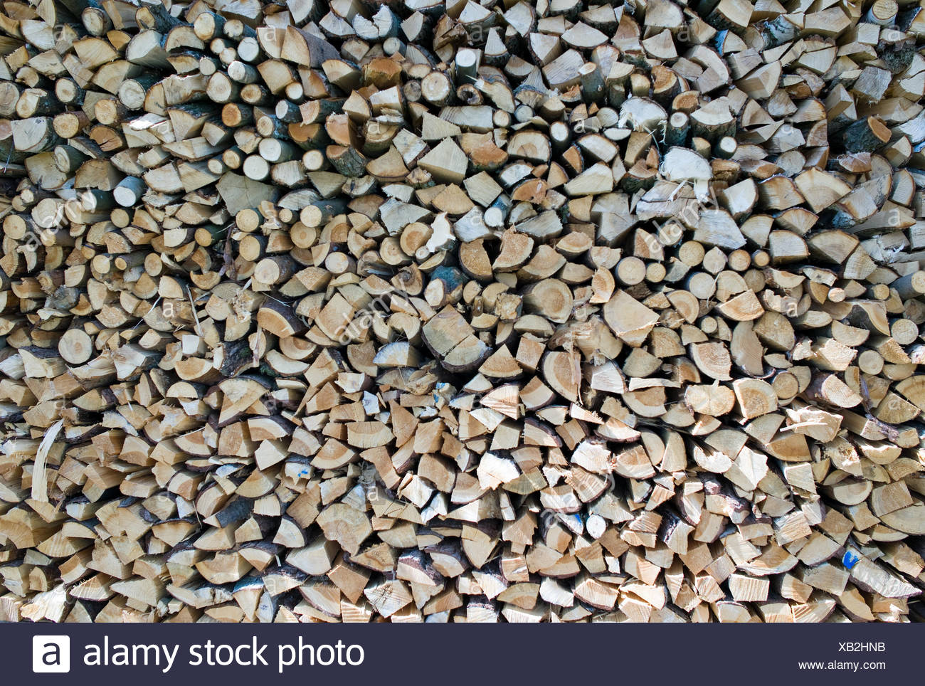 Tree Trees Wood Fireplace Stove Forest Tree Trees Winter Wood