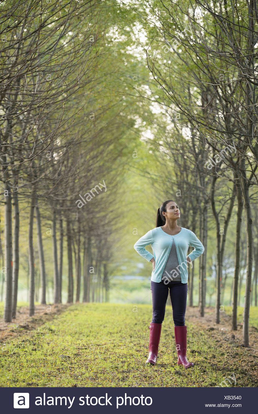 A woman in two rows of trees looking upwards. Stock Photo