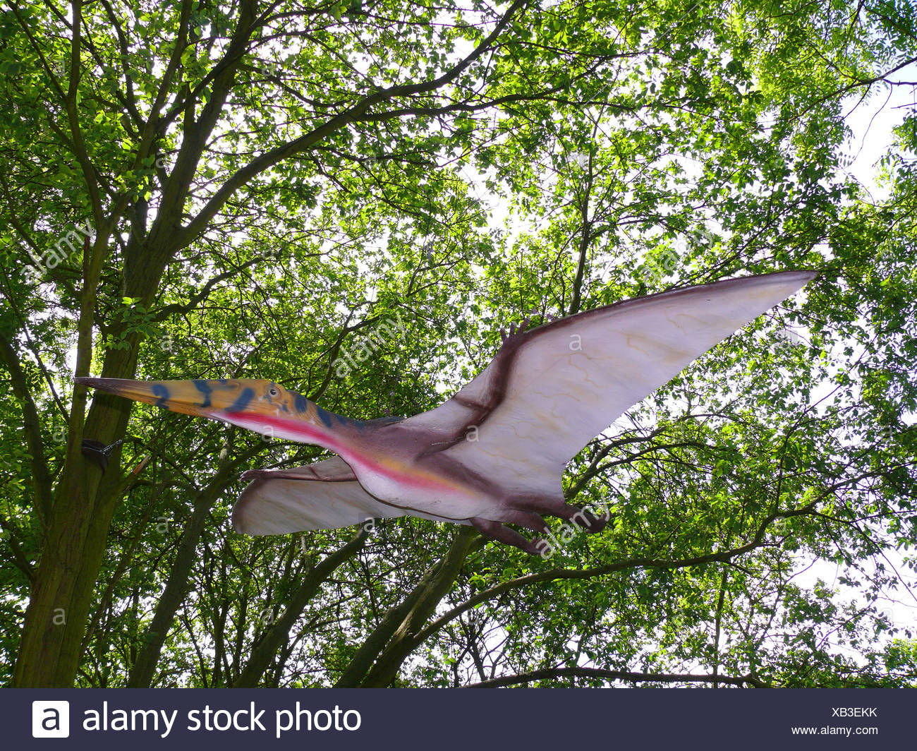 Flying Reptile Species High Resolution Stock Photography and Images Alamy