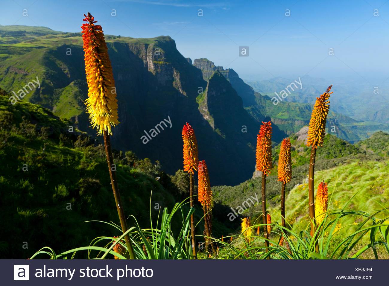 Mountains Mountains