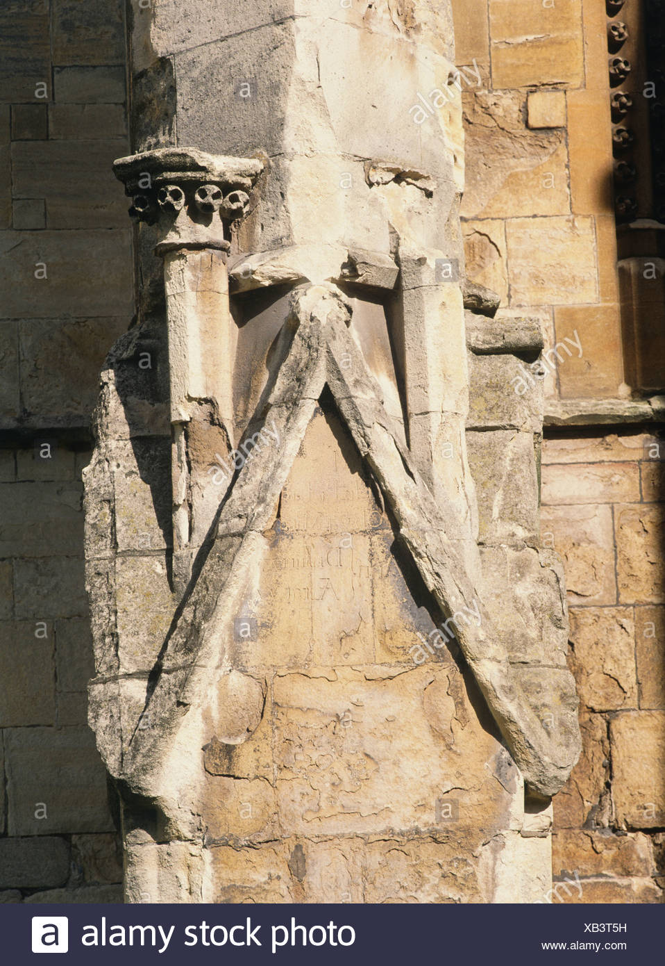 Effects Of Acid Rain High Resolution Stock Photography and Images Alamy