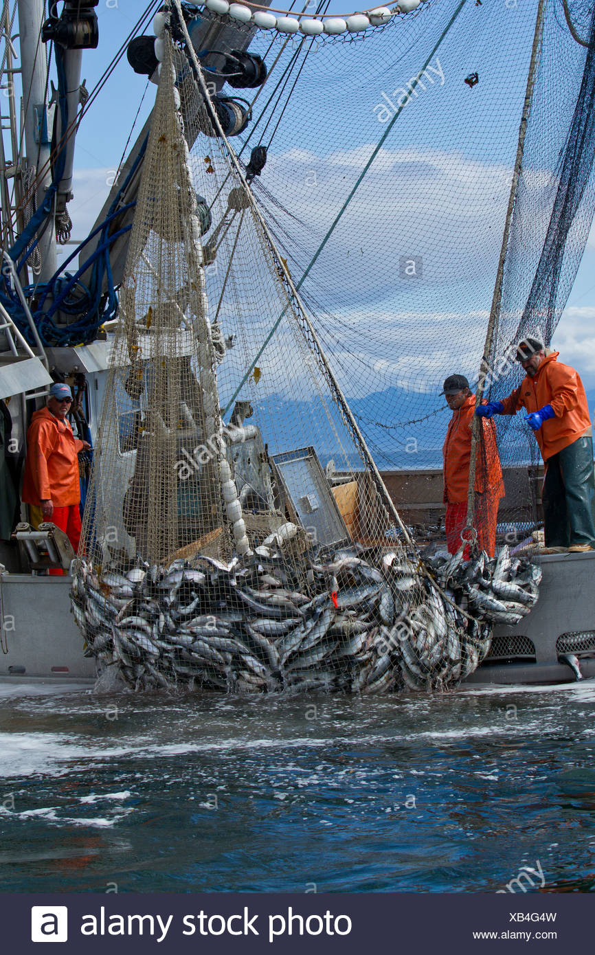 Hauling Fish Boat High Resolution Stock Photography and Images Alamy