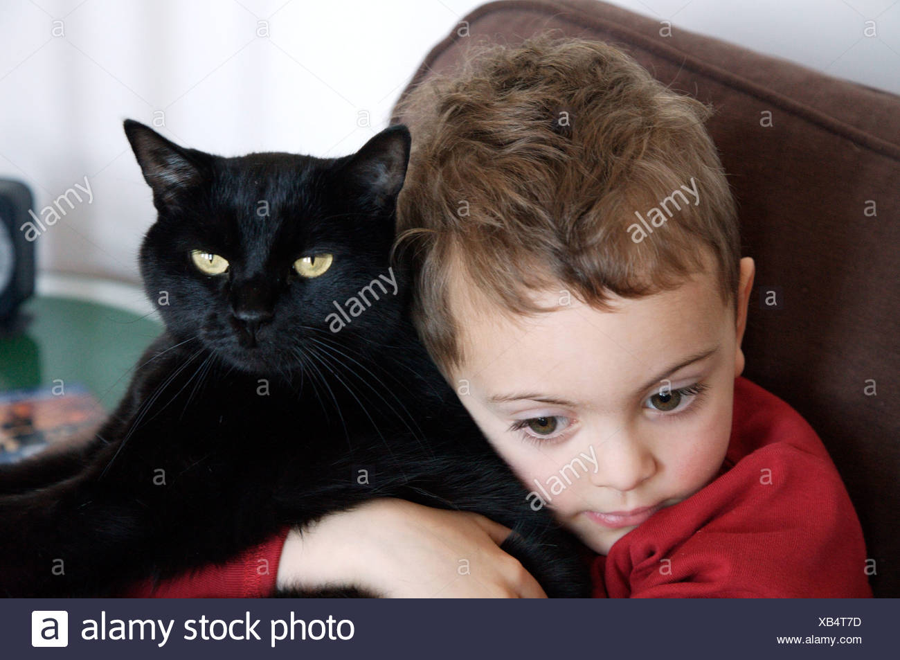 Male Child Dark Blond Hair Red Top Sitting On Brown Sofa