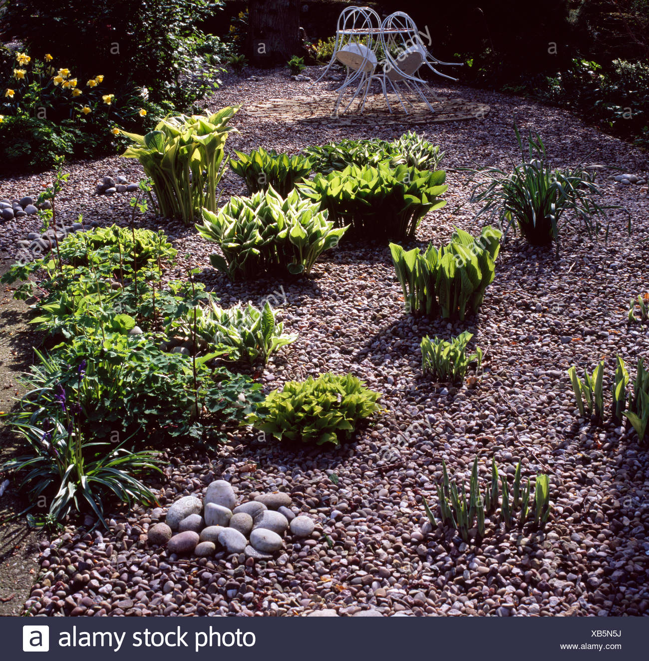 Patio Pebbles Stock Photos & Patio Pebbles Stock Images Alamy