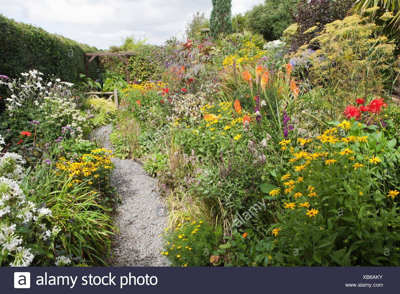 Poppy Cottage Garden On Roseland Peninsula In Cornwall Stock Photo