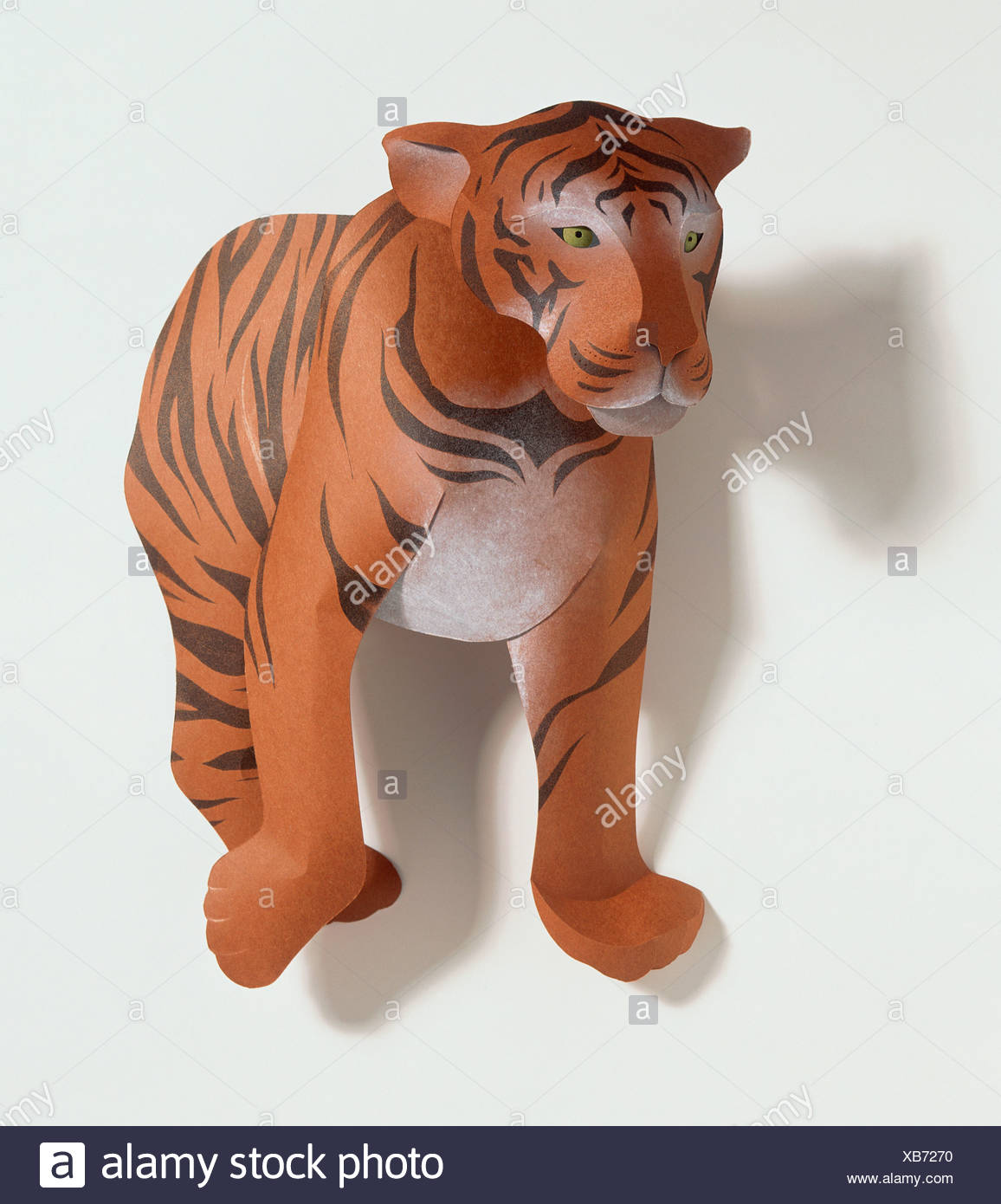 Tiger Model High Resolution Stock Photography and Images - Alamy