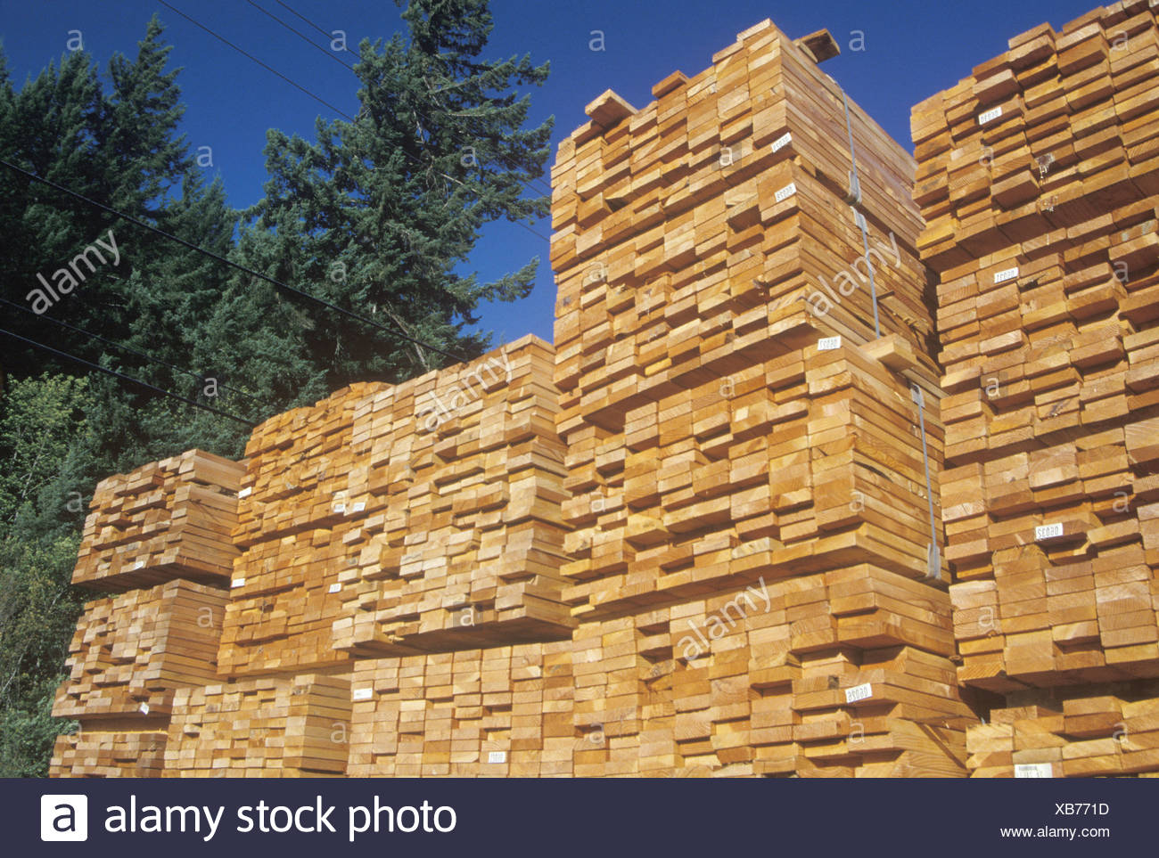 Lumber Mill California High Resolution Stock Photography and Images Alamy