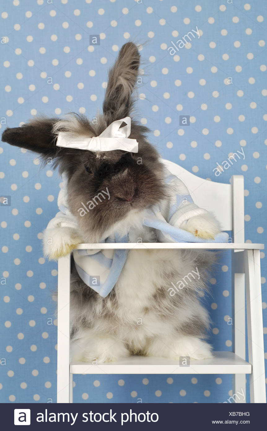 rabbit high chair