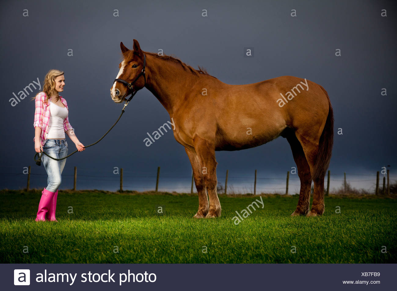 Girl Walking With Horse High Resolution Stock Photography and Images