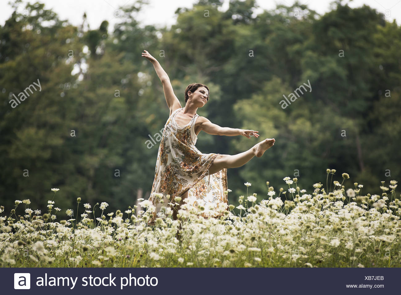 Woodstock New York Usa Woman Dancing In Field Of Wild Flowers Stock Photo Alamy Woodstock New York Usa Woman Dancing In Field Of Wild Flowers Stock Photo Alamy