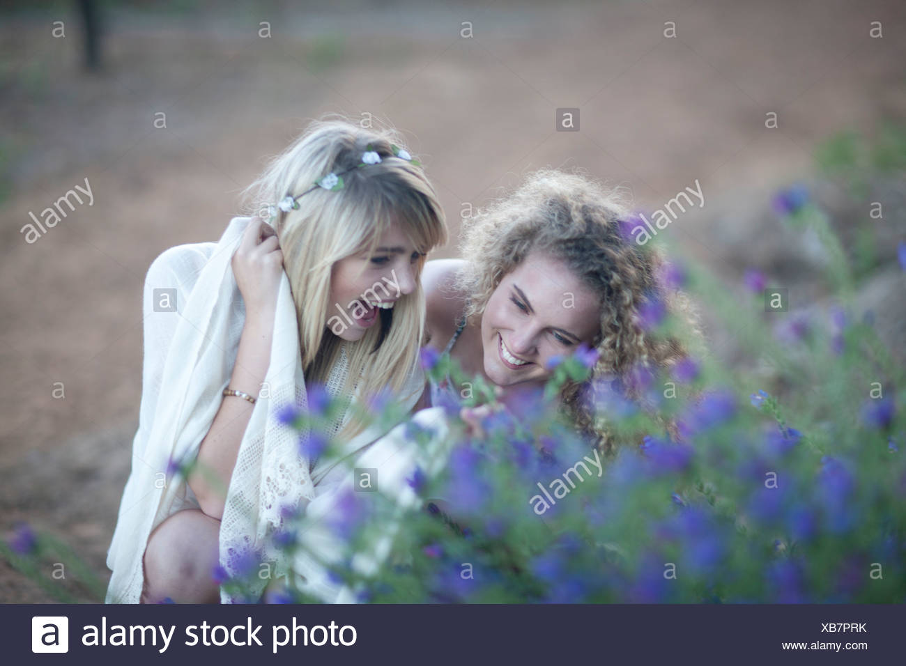 Pretty Wildflowers High Resolution Stock Photography and Images - Alamy