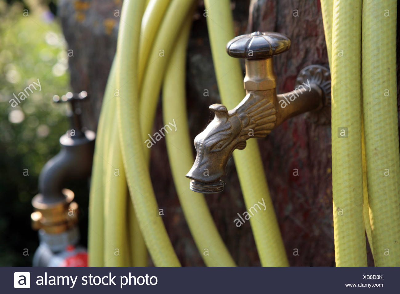 Wasserstelle Im Garten Stock Photo 282313155 Alamy