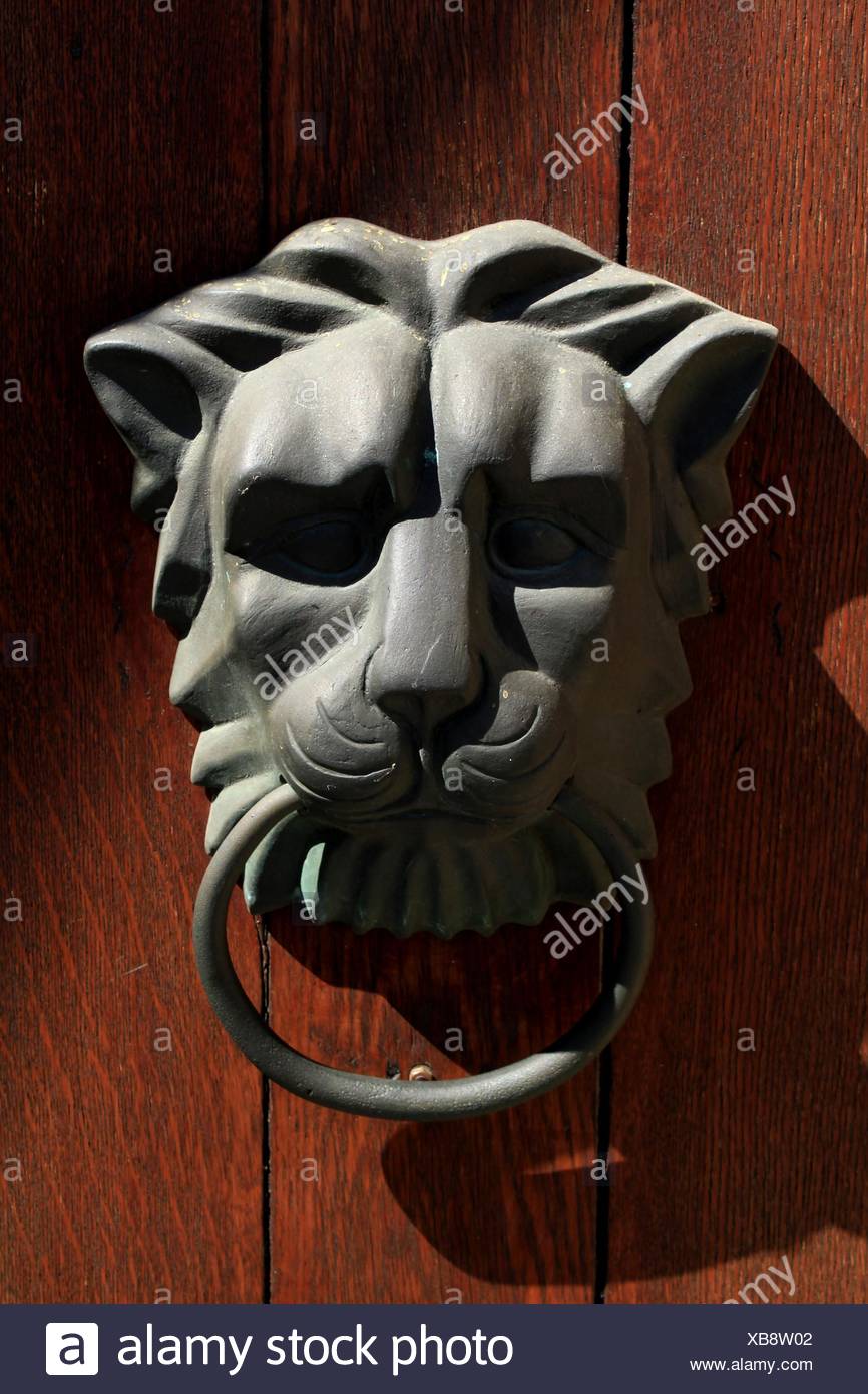 Ring Wood It Lion Cat Big Cat Feline Predator Face Door Beard Head Art Animal Stock Photo Alamy