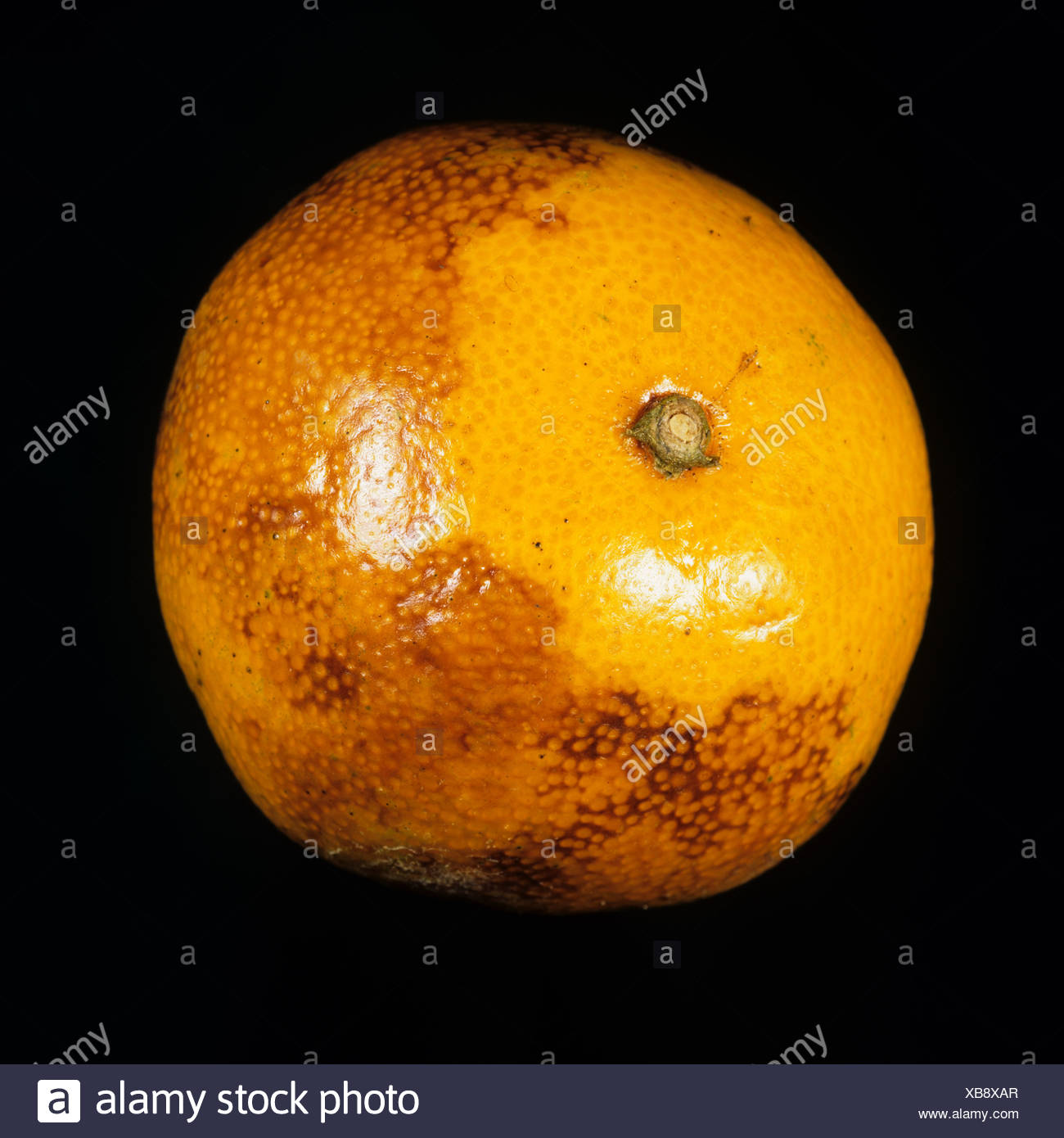 Agent Orange High Resolution Stock Photography and Images Alamy