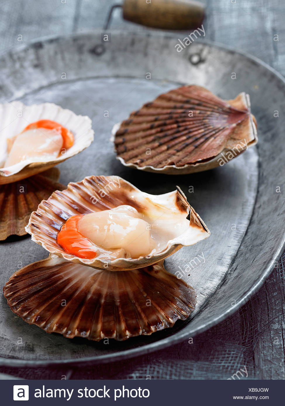 Coquilles Saint Jacques Stock Photo Alamy Coquilles Saint Jacques Stock Photo Alamy