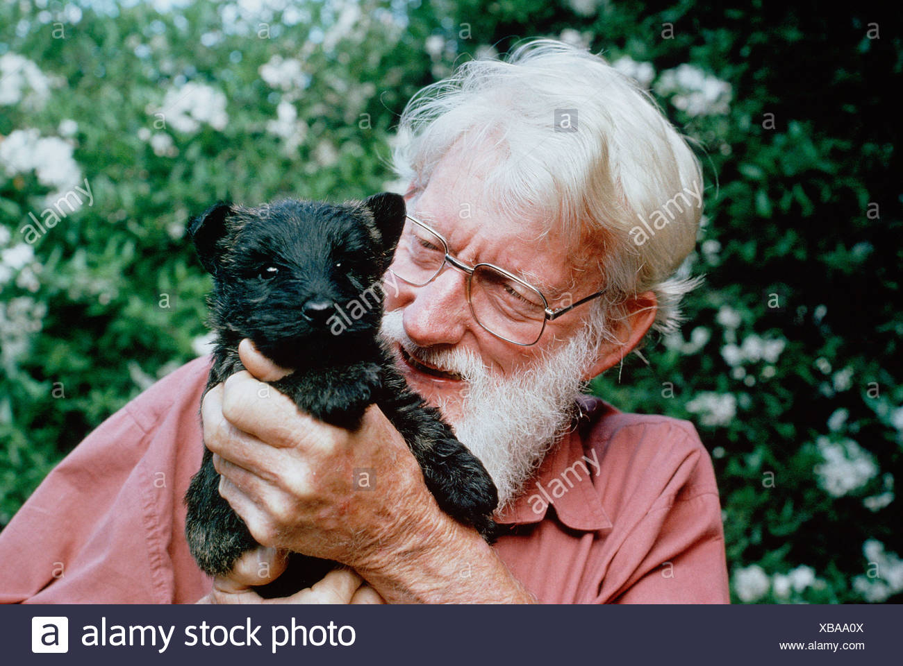 Outdoor Garden Portrait Of An Old Man With Grey Hair And Beard