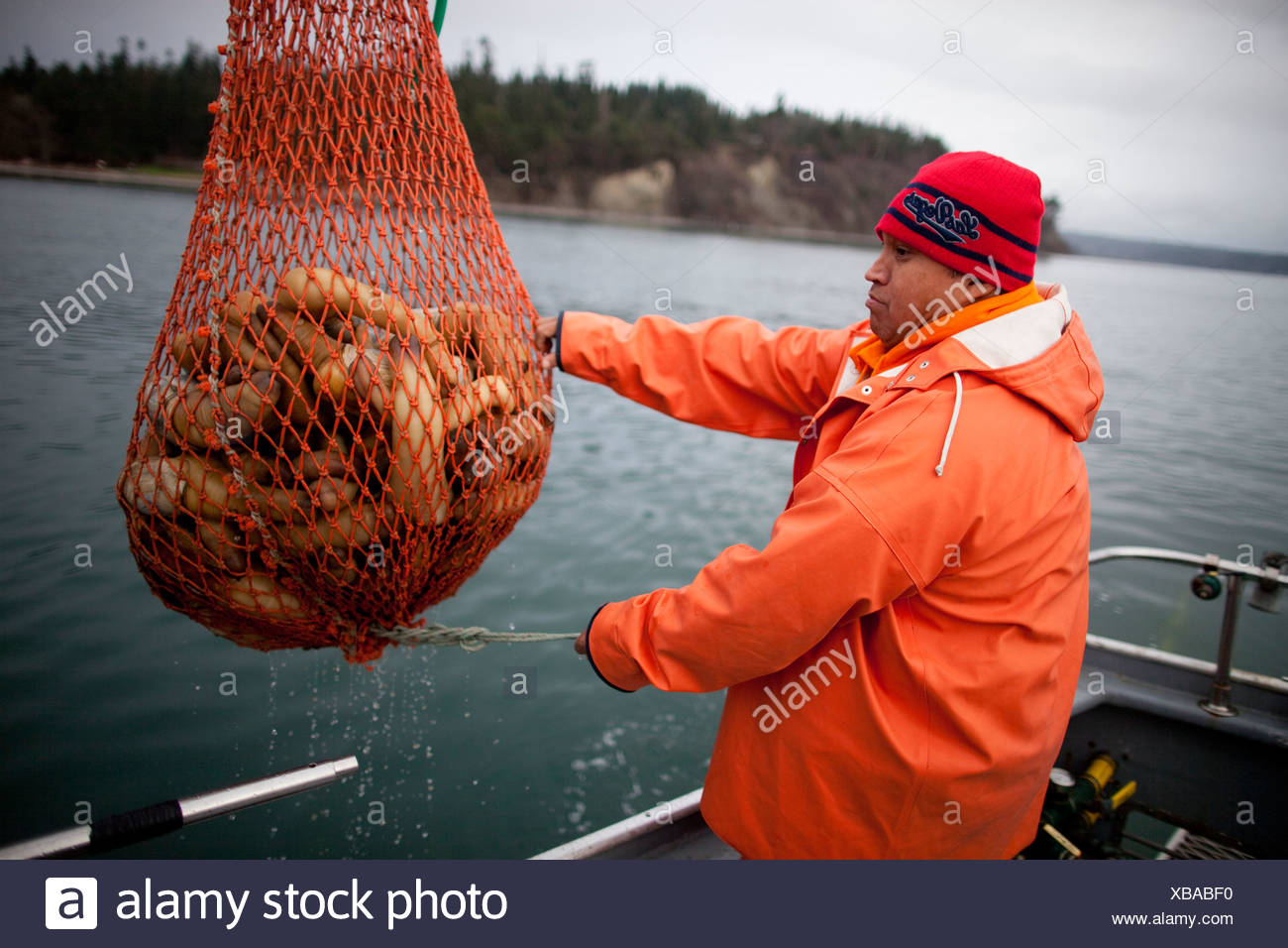 geo duck diving wa geo duck diving wa