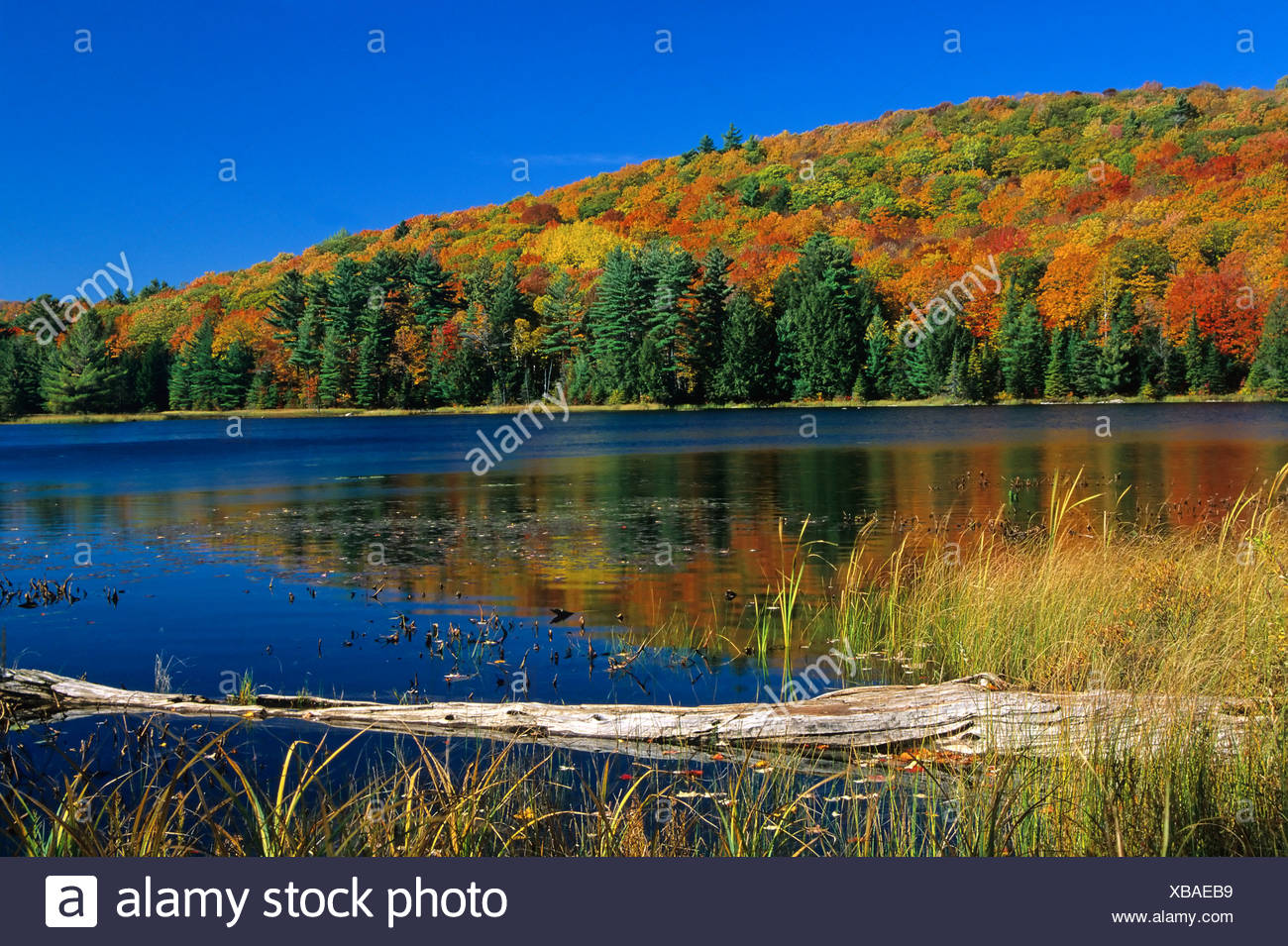 Gatineau Hills Stock Photos & Gatineau Hills Stock Images Alamy