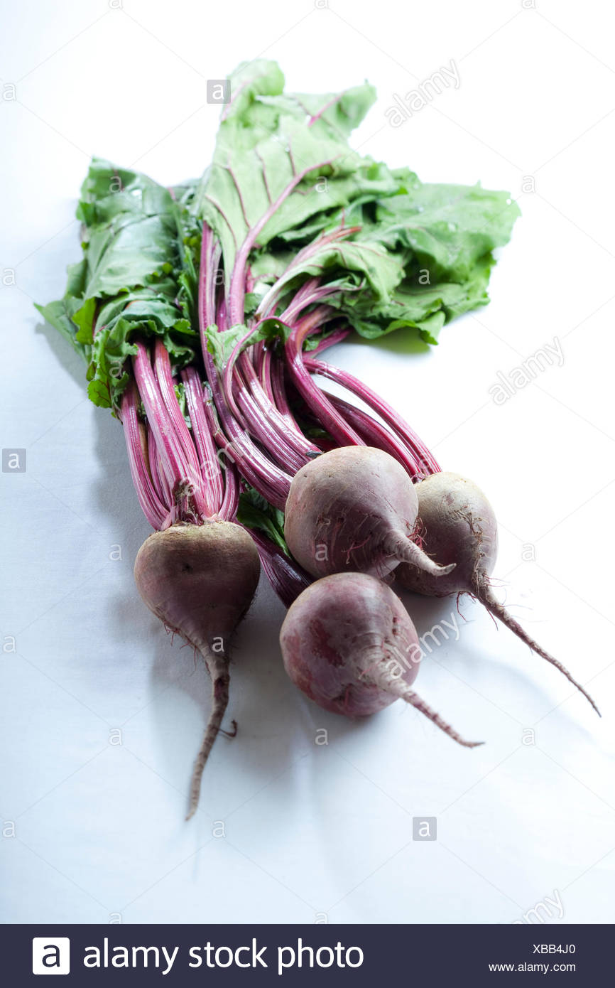 Rote Rube High Resolution Stock Photography and Images - Alamy