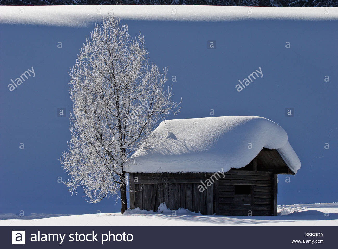 Log Cabins Deeply Covered With Snow Near Krungl Styria Austria