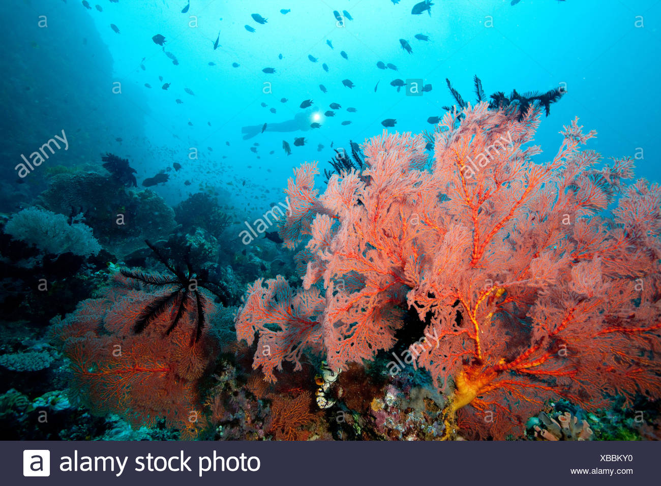 Uette High Resolution Stock Photography And Images Alamy alamy
