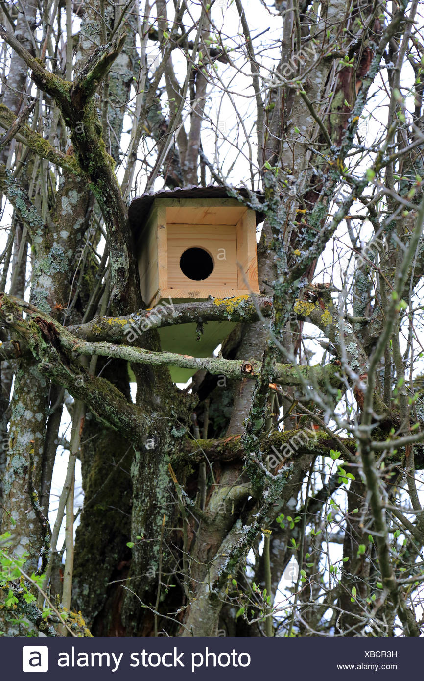 Nesting Box For Little Owl High Resolution Stock Photography and Images