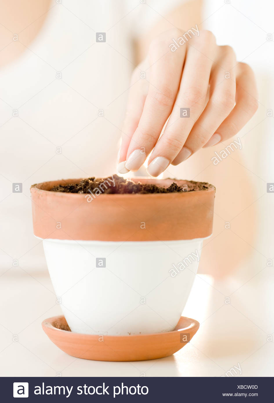 Woman planting seed in pot Stock Photo