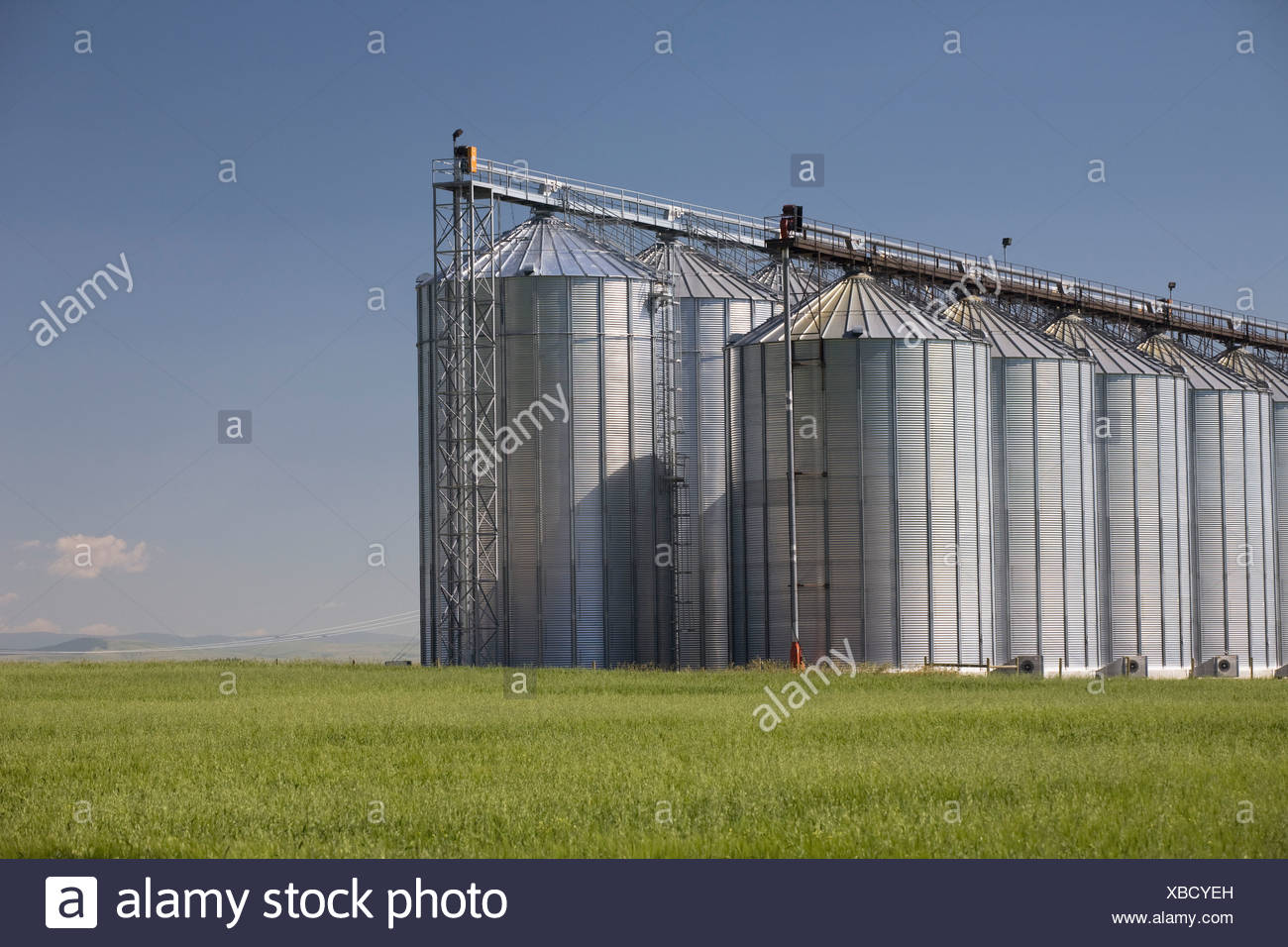 Grain Silos In Wheat Field Stock Photos & Grain Silos In Wheat Field