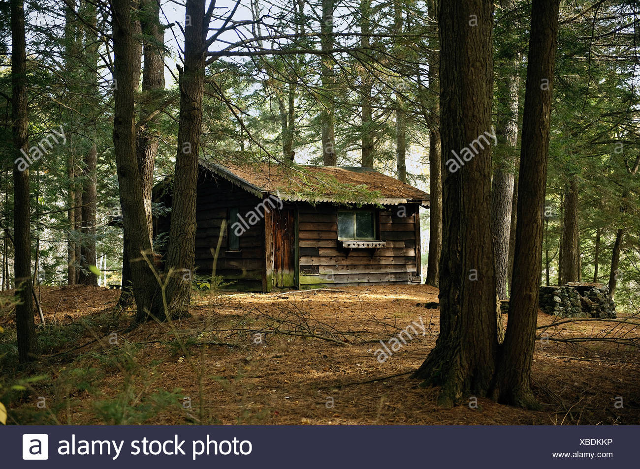 Isolated Cabin Stock Photos Isolated Cabin Stock Images Alamy