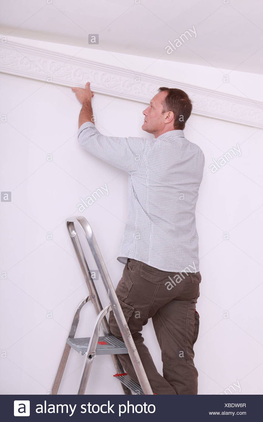 Decorator Fitting Coving To A Ceiling Stock Photo 282432271 Alamy