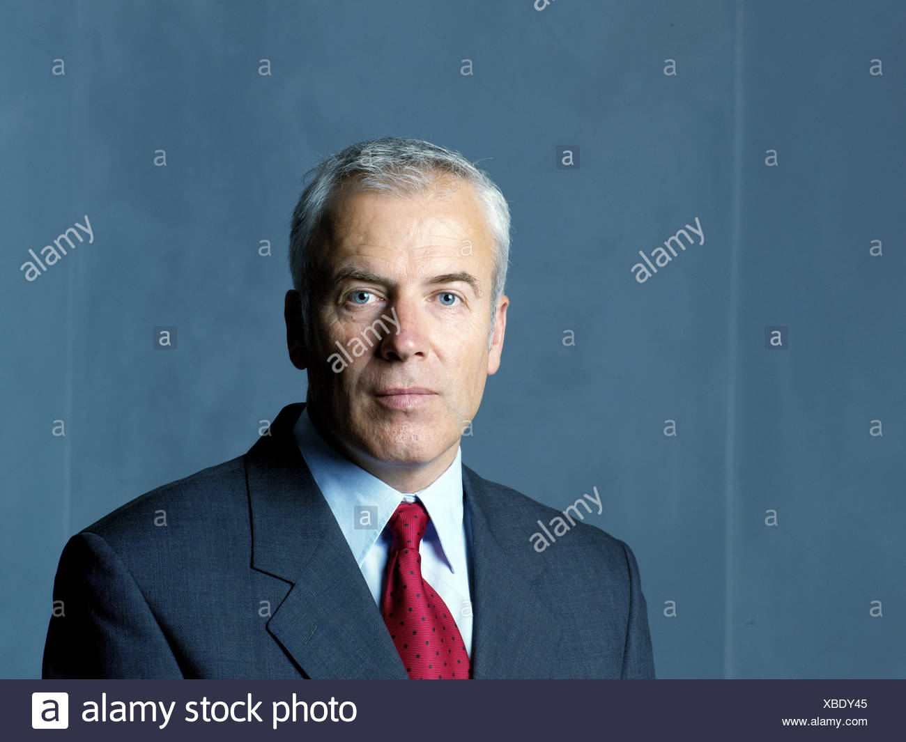 Man Grey Haired Middle Old Person Suit Seriously Portrait Businessman Manager Blue Eyes Grey Hair Gray Hair Cultivated Seriously Friendly Openly Openly Carefully Interests Confidently Self Confidently Successfully Studio Stock