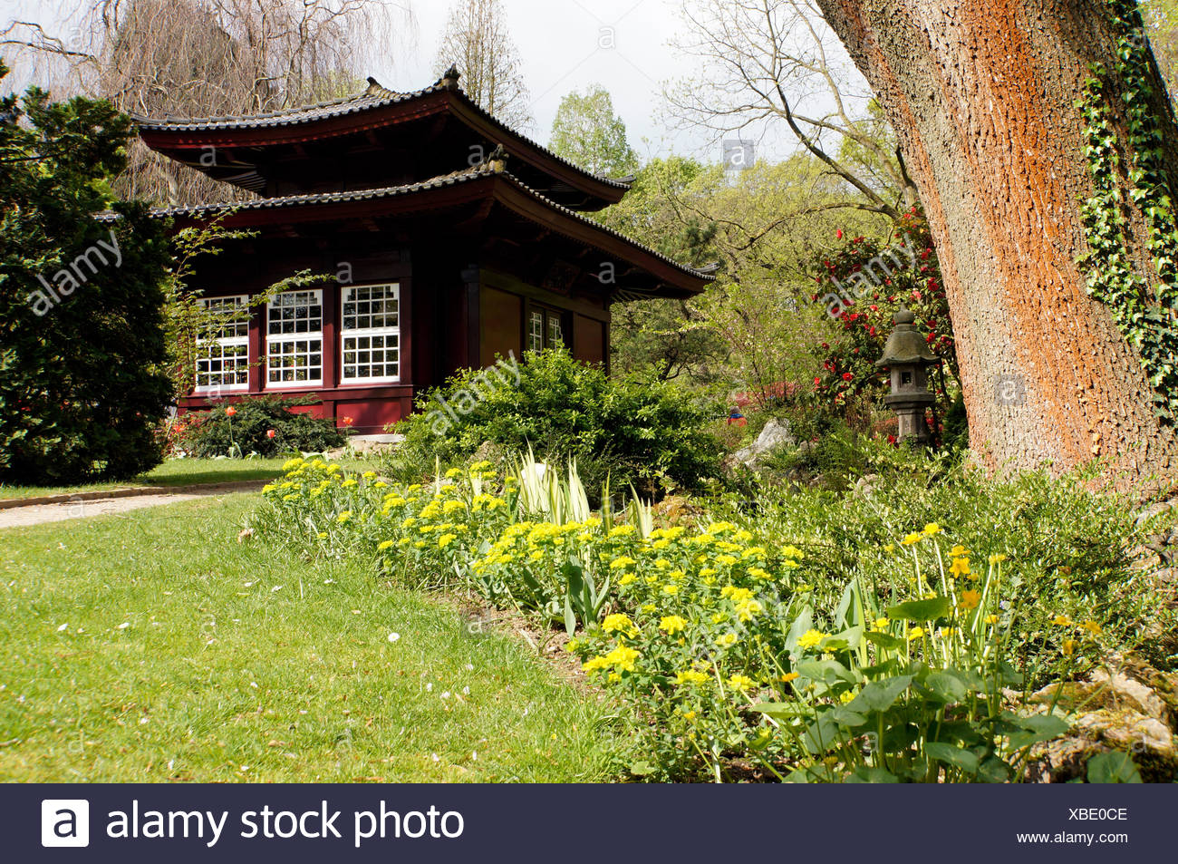 japanisches Teehaus, Leverkusen, Nordrhein-Westfalen, Deutschland Ideen