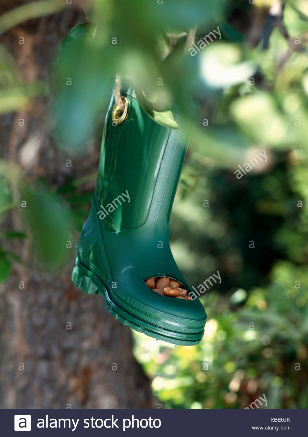 Close Up Of Novelty Small Green Wellington Boot Bird Feeder Stock