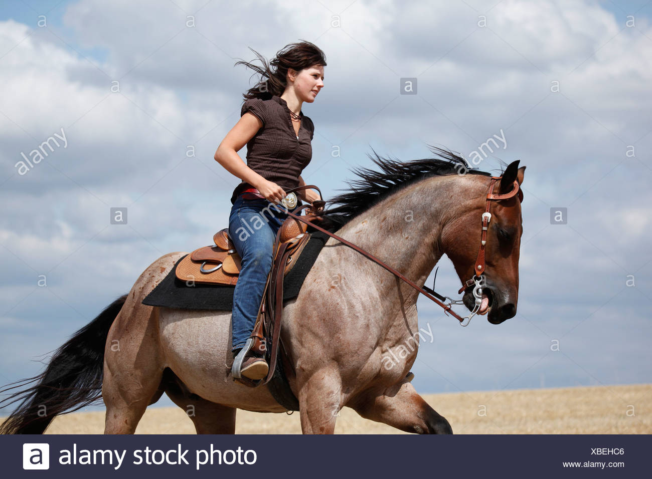 Rider Riding Western Canter High Resolution Stock Photography and