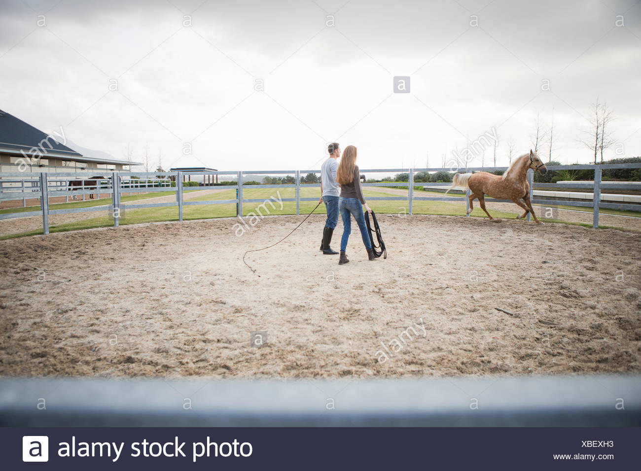 Training Groom High Resolution Stock Photography and Images Alamy