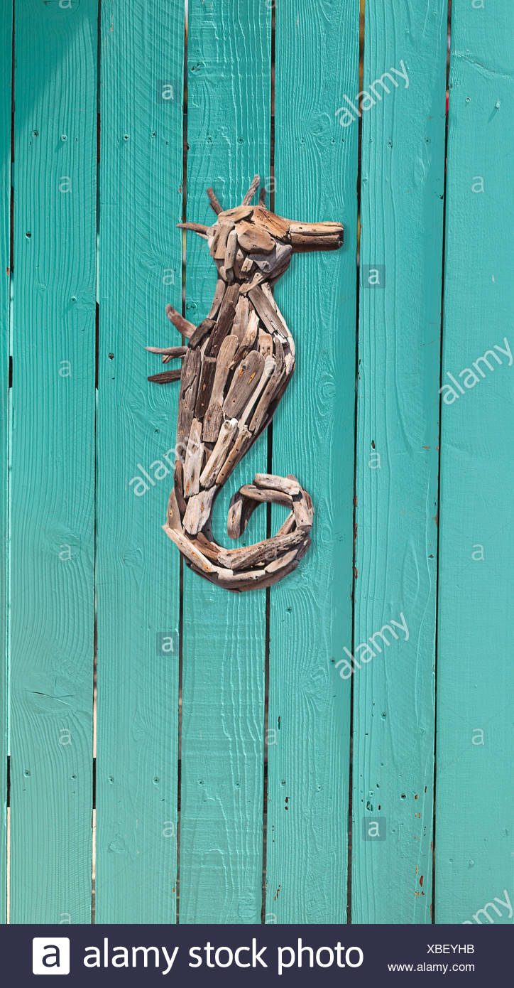 wood driftwood seahorse decor