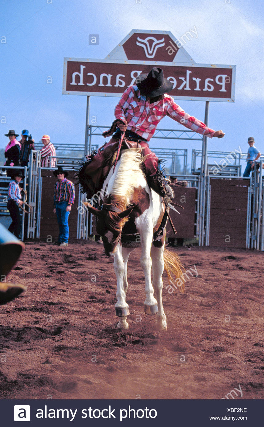 Parker Ranch Hawaii High Resolution Stock Photography and Images - Alamy