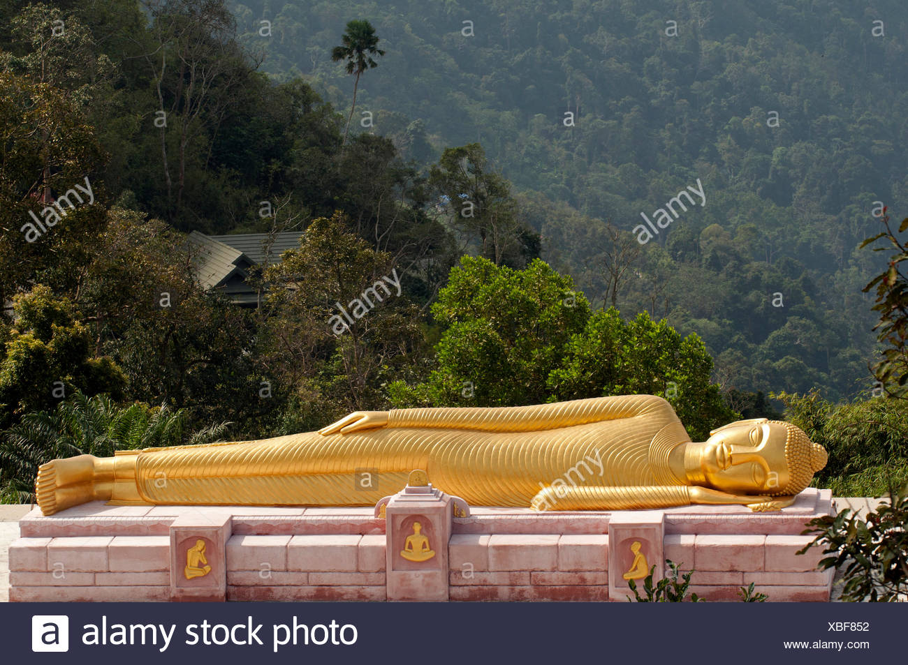 Korn Stock Photos Korn Stock Images Alamy