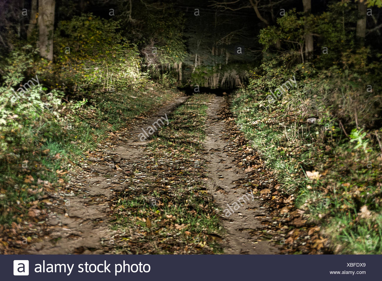 Creepy Road Night High Resolution Stock Photography and Images - Alamy