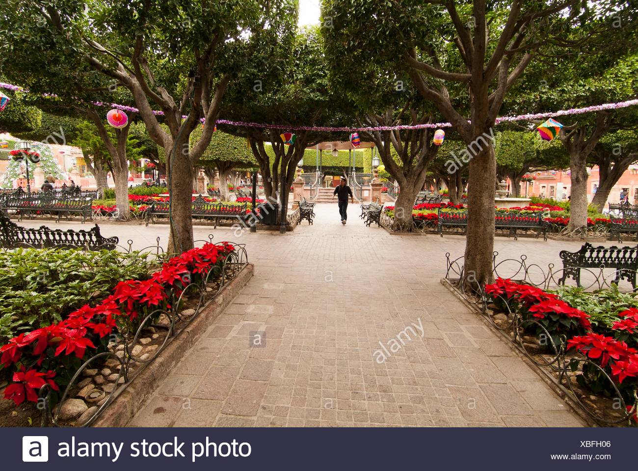 El Jardin In San Miguel De Allende Stock Photos & El Jardin In San