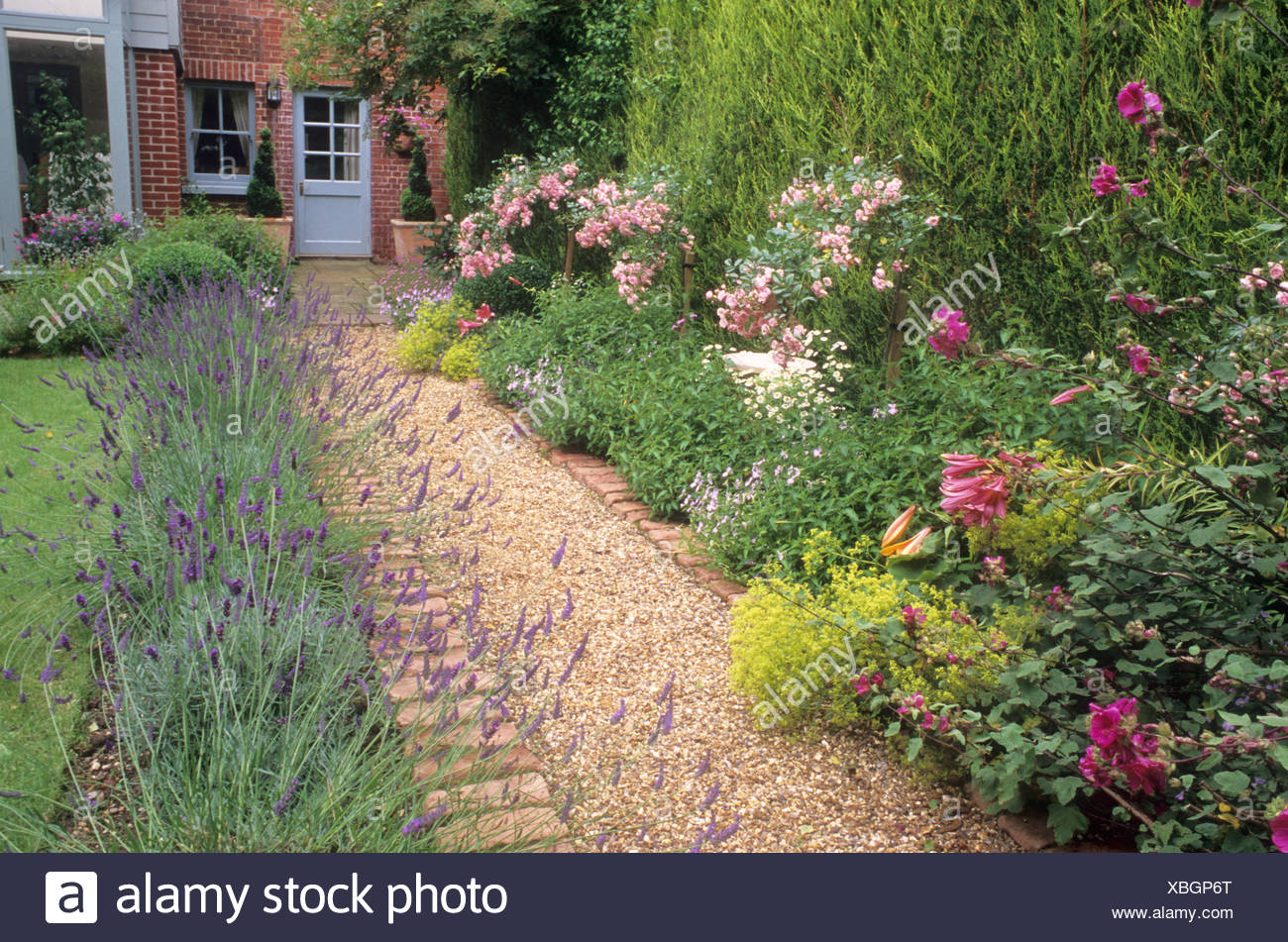 Image result for back garden with flowers pictures