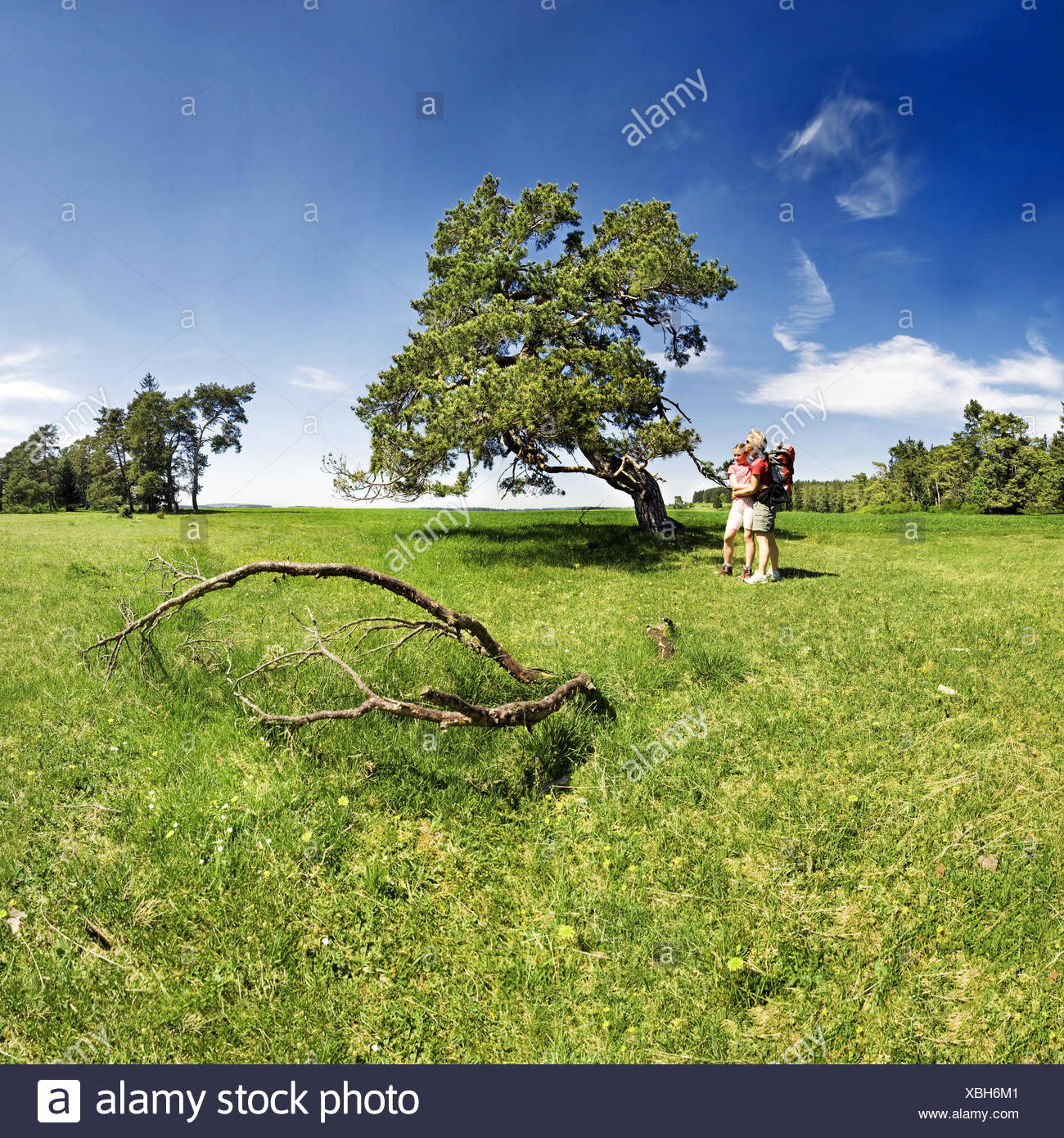 idyl