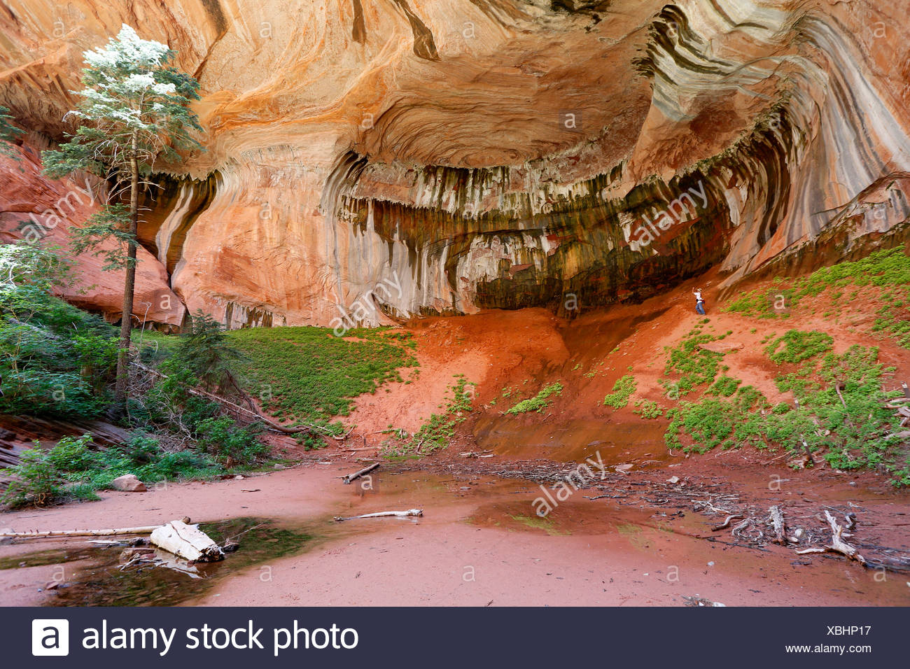 Alcove Of Rock Stock Photos & Alcove Of Rock Stock Images Alamy