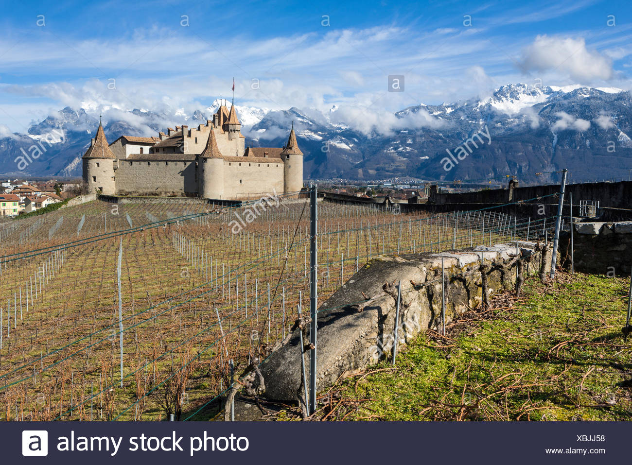 Castle, Aigle, Aigle, Switzerland, Europe, canton, Vaud, castle, vineyard  Stock Photo - Alamy