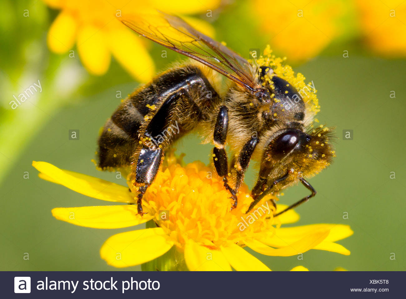 Related image