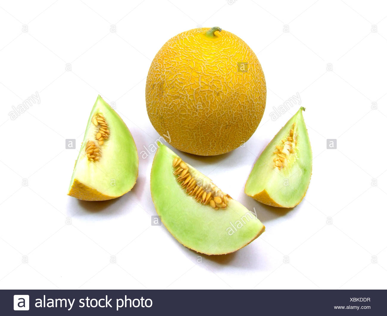galiamelone (cucumis melo) Stock Photo
