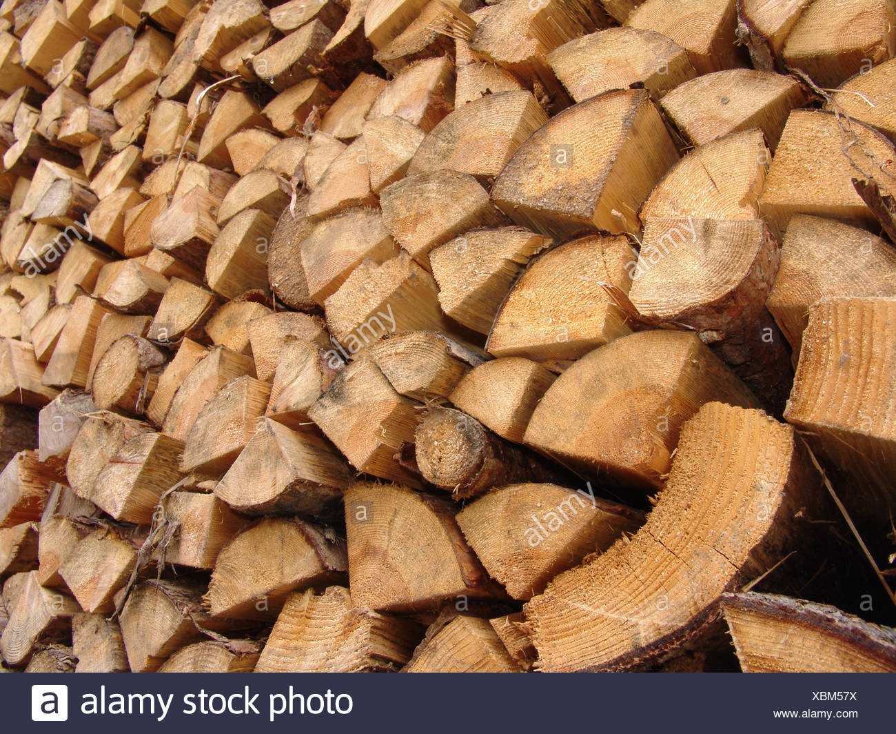 Tree Wood Stack Fuel Fireplace Stove Firewood Annual Rings Log Of