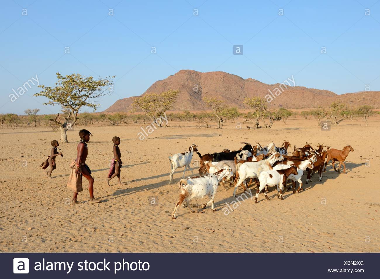 Himba Valley High Resolution Stock Photography and Images - Alamy